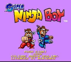 Super Ninja Boy